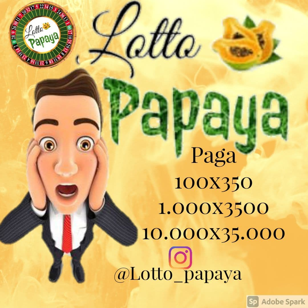 lottopapaya